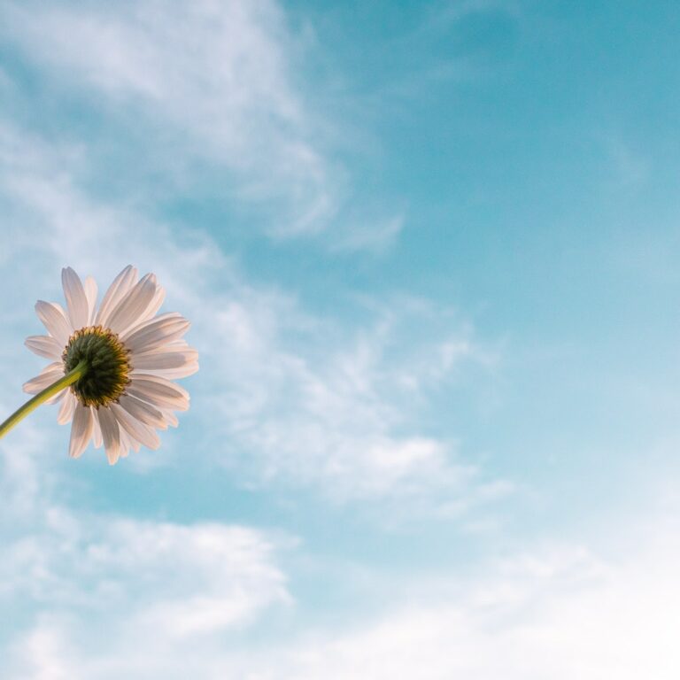 Do U Have “Living Hope”?